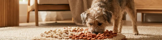 DIY Dog Snuffle Mat: The Easy Foraging Toy That Tires Out Your Dog in Minutes  Must Love Pets