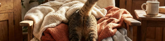 DIY Pet Blanket Nest: Cozy Burrowing Haven (No-Sew & Sewing Options)(2026)  Must Love Pets