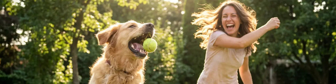 How Dog Ownership Drives Physical Activity: The Science Behind Your Fitness Partner (2026)  Must Love Pets
