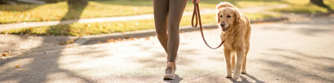 Pet Ownership & Cardiovascular Health: The Science Behind A Healthier Heart  Must Love Pets