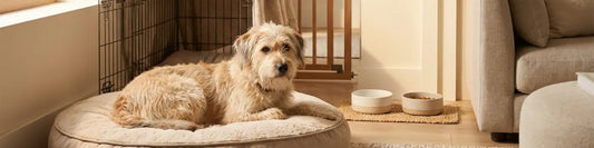 New Dog Parent Checklist (2026): Everything You Actually Need for Week 1  Must Love Pets