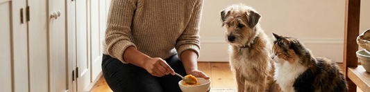 Pet parent preparing food bowls for a dog and a cat in a bright kitchen, with both pets waiting calmly nearby.