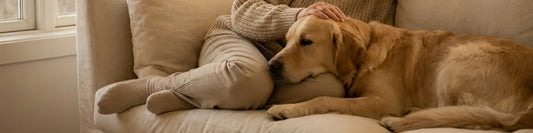 The Calming Power of Pets: How Animals Regulate Your Nervous System  Must Love Pets