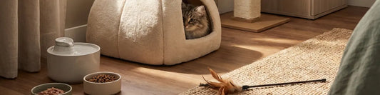 New Cat Parent Checklist: Everything You Actually Need for Week-1 (2026)  Must Love Pets
