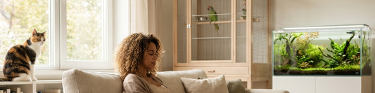 Cozy home scene with a pet parent, relaxed dog and cat, and a bird cage and aquarium in the background suggesting a calm soundscape.