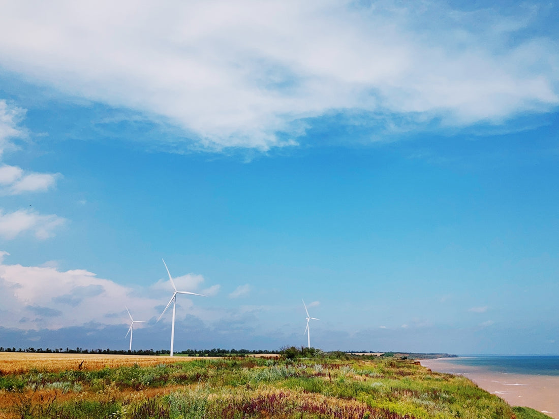 white wind turbines on green grass field under blue sky during daytime