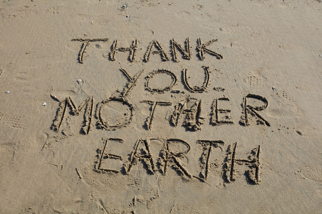 Thank you, mother earth, written in sand.