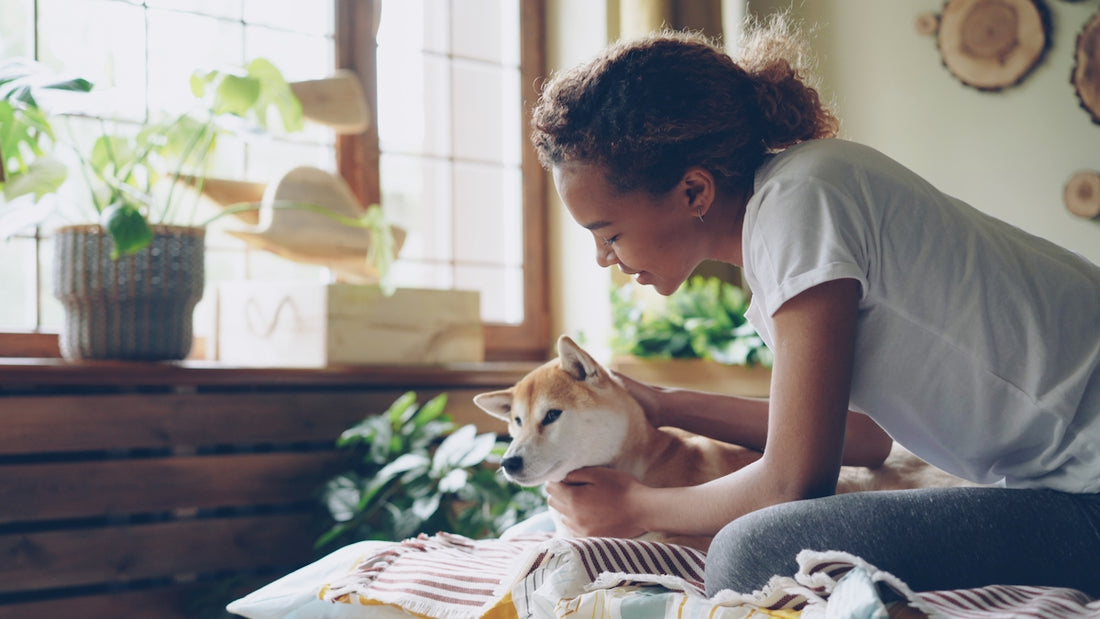 Woman pets a dog in a cozy, well-lit room.