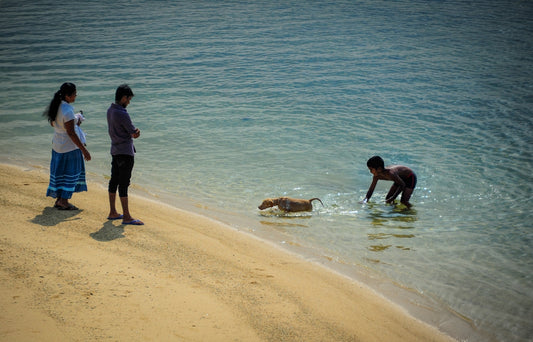 Two people watch a child and dog by the water.