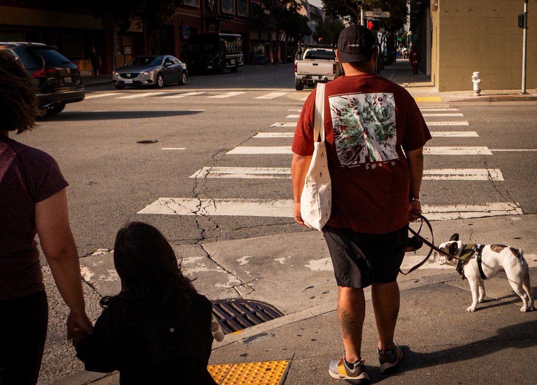 People and dog cross street at crosswalk.