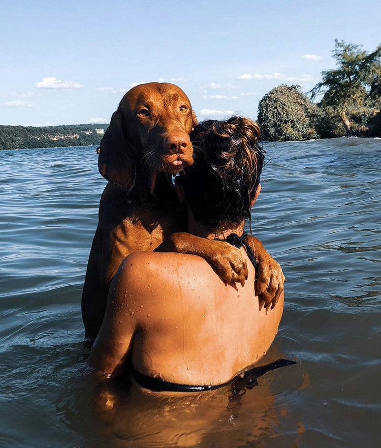 Pet Stollers and other outdoor activity equipment