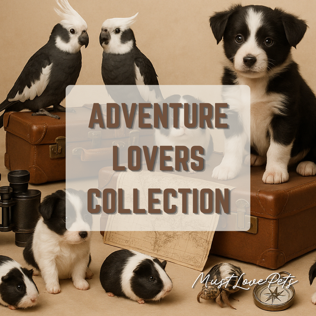 Adventure Lovers Collection?