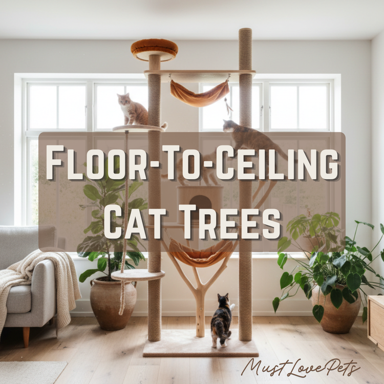 Floor-to-Ceiling-Cat-Trees  Must Love Pets