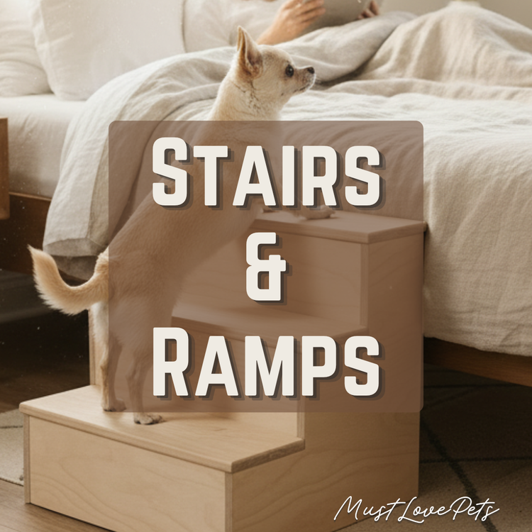 Stairs & Ramps