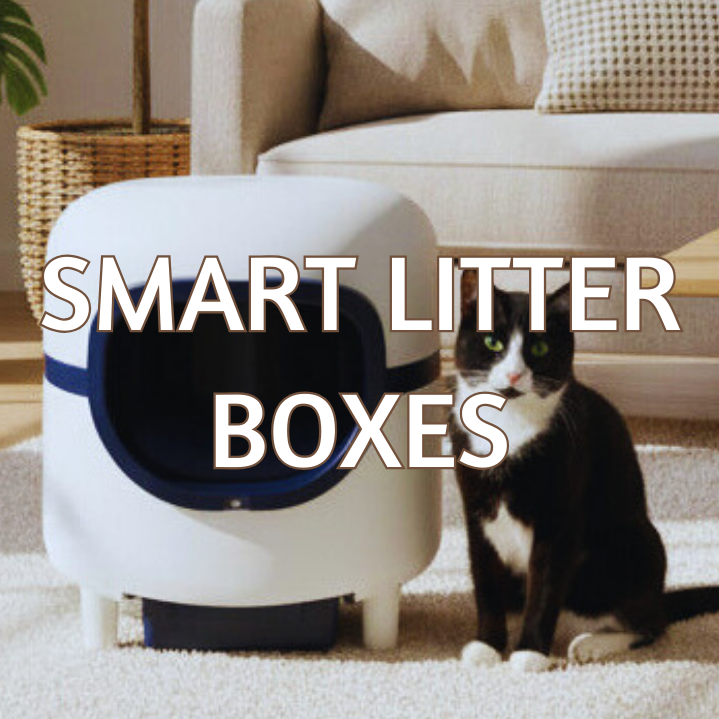 Smart Litter Boxes (Cleaner Home, Less Work)