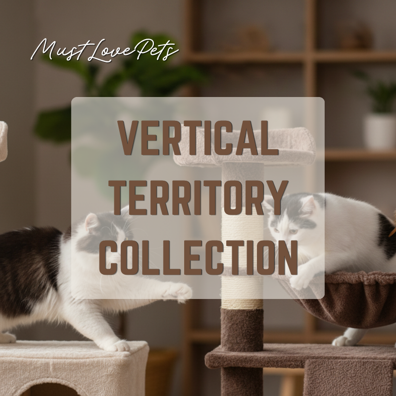 Vertical Territory Collection?
