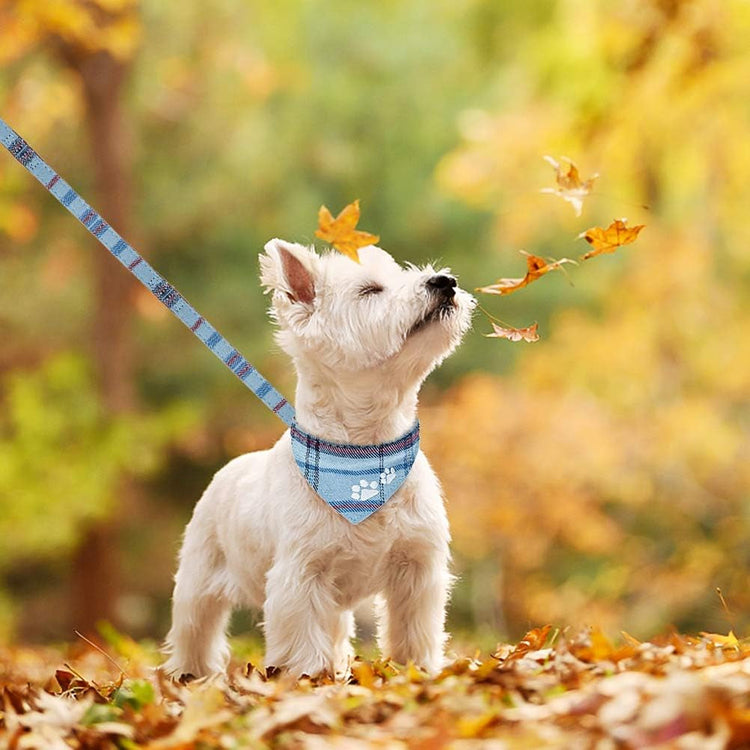 Pet harness/Collar Sets and leashes