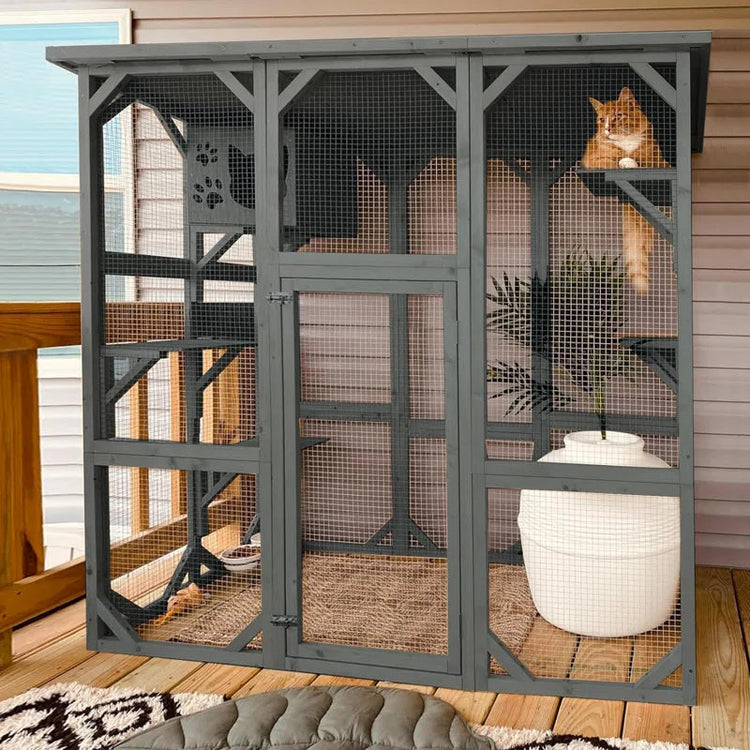 Pet Houses, Catios and Villas