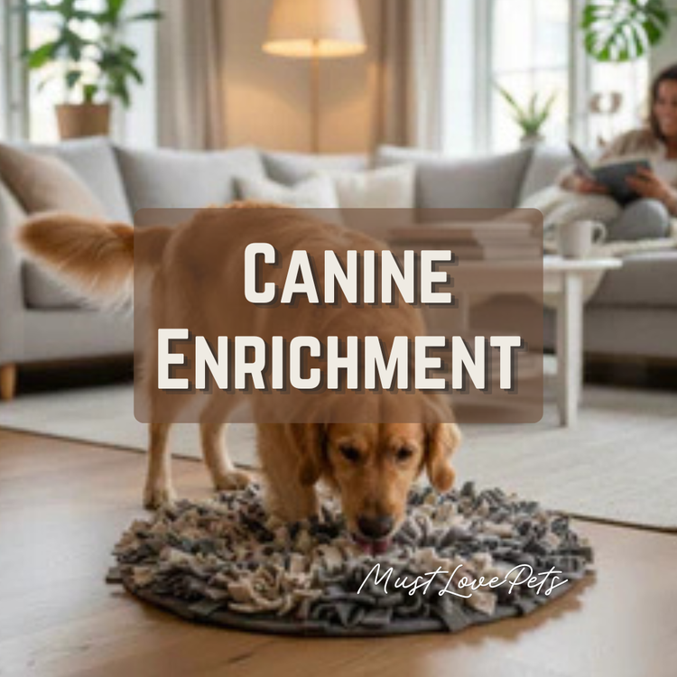 Dog Enrichment