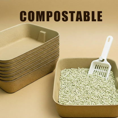 Compostable cat litter box with a white scoop on a blurred beige background