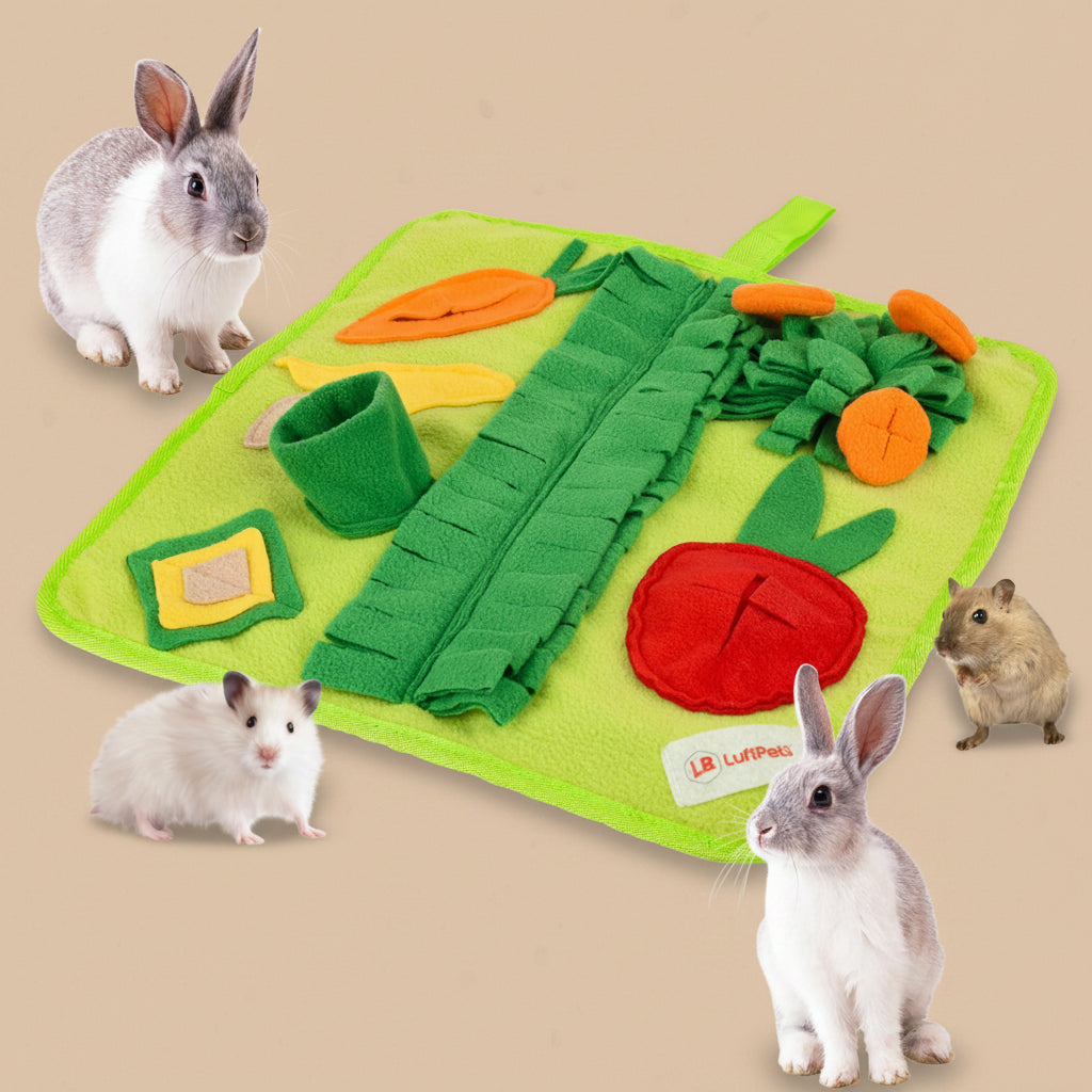 Pet toy mat with vegetable design with  animals around on a beige background