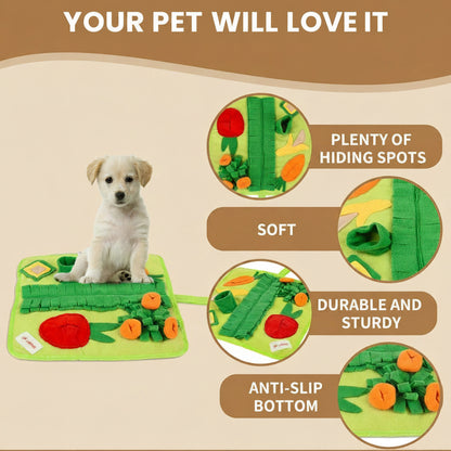 Pet toy with features highlighted on a green background