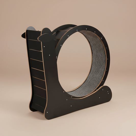 Cat Exercise Wheel