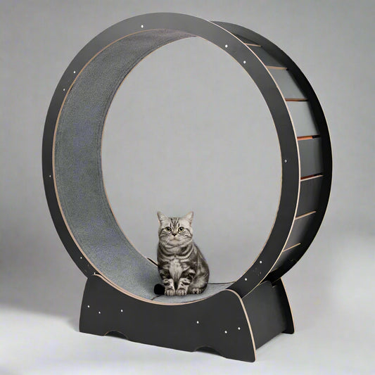 Denora 45'' Large Cat Running Wheel Treadmill