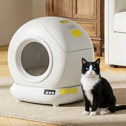 White self-cleaning cat litter box with a cat sitting next to it on a carpeted floor.