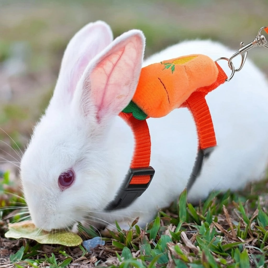 Cartoon Rabbit Harness and Leash Set Walking Adjustable Pet Harnesses for Small Animals Bunny Guinea Pig Mascotas Accessories