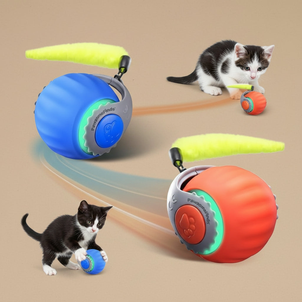 Cat toy with a ball and handle, featuring a cat interacting with it on a white background.