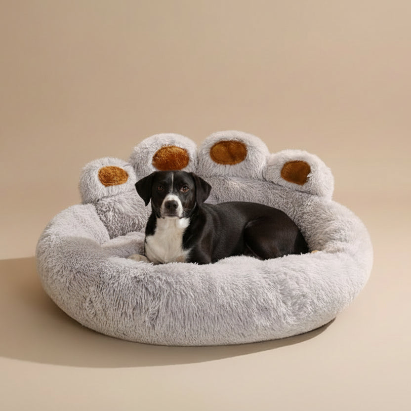 Dog lying on a fluffy paw-shaped pet bed with a beige background