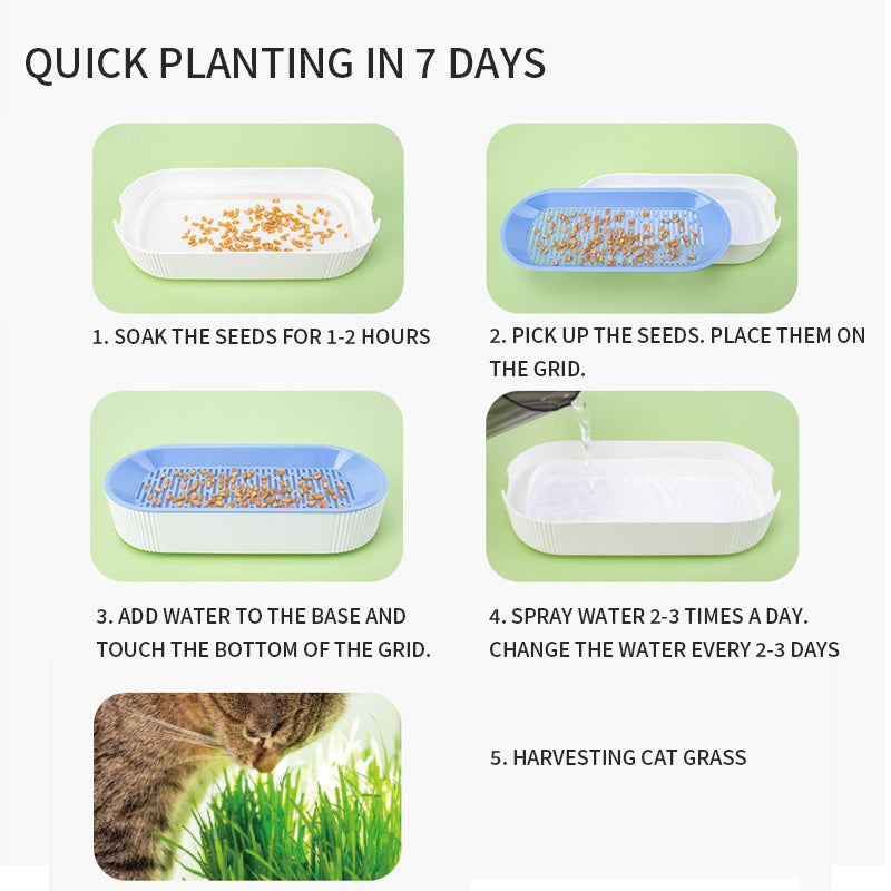 Cat Grass Growing Kit - Hydroponic Cat Grass Planter with Self-Watering System, Double-Layer Soilless Sprouting Tray for Indoor Cats