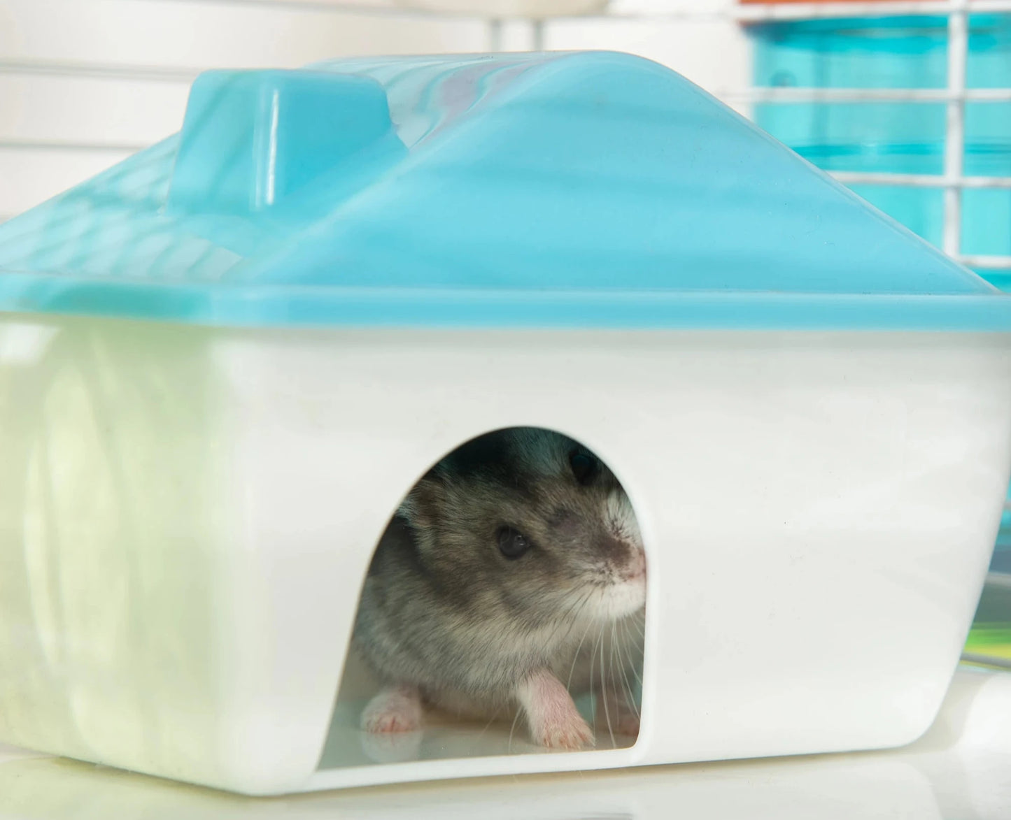 Pawhut 31" Extra Large Hamster Cage with Tubes and Tunnels, 4 Tier Small Animal Cage with Portable Carry Handles, Rat Gerbil Cage with Water Bottle, Food Dish, Exercise Wheel