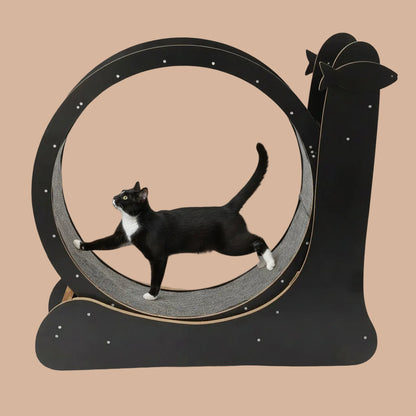 Cat Exercise Wheel