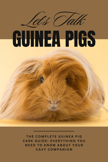Guinea pig on a beige background with text about guinea pigs