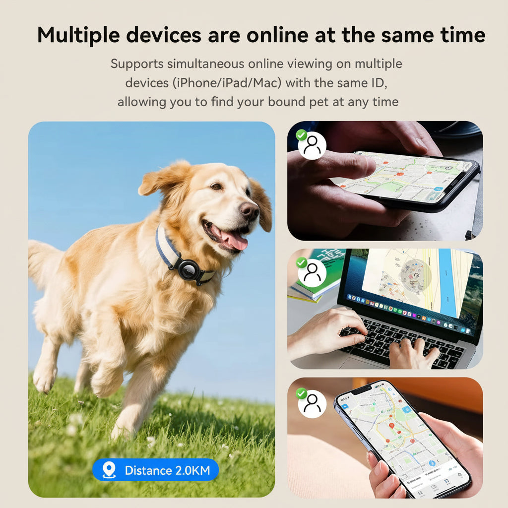 Dog wearing a GPS collar with app on phone, laptop, and tablet showing location.