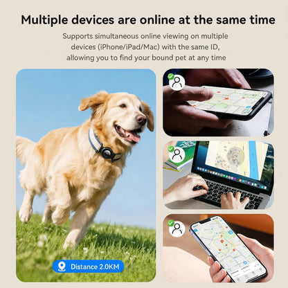 Dog wearing a GPS collar with app on phone, laptop, and tablet showing location.