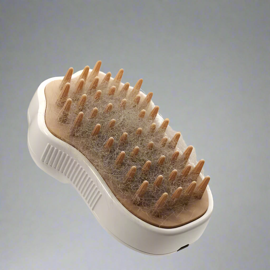 Rechargeable Steam Brush 