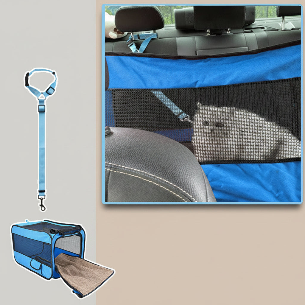 Pet car seat cover with mesh side and blue leash, placed on a car seat.