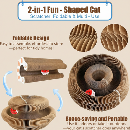Foldable cat scratcher with multiple views and features highlighted on a white background
