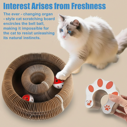 Cat playing with a cardboard scratching board and bell ball toy.