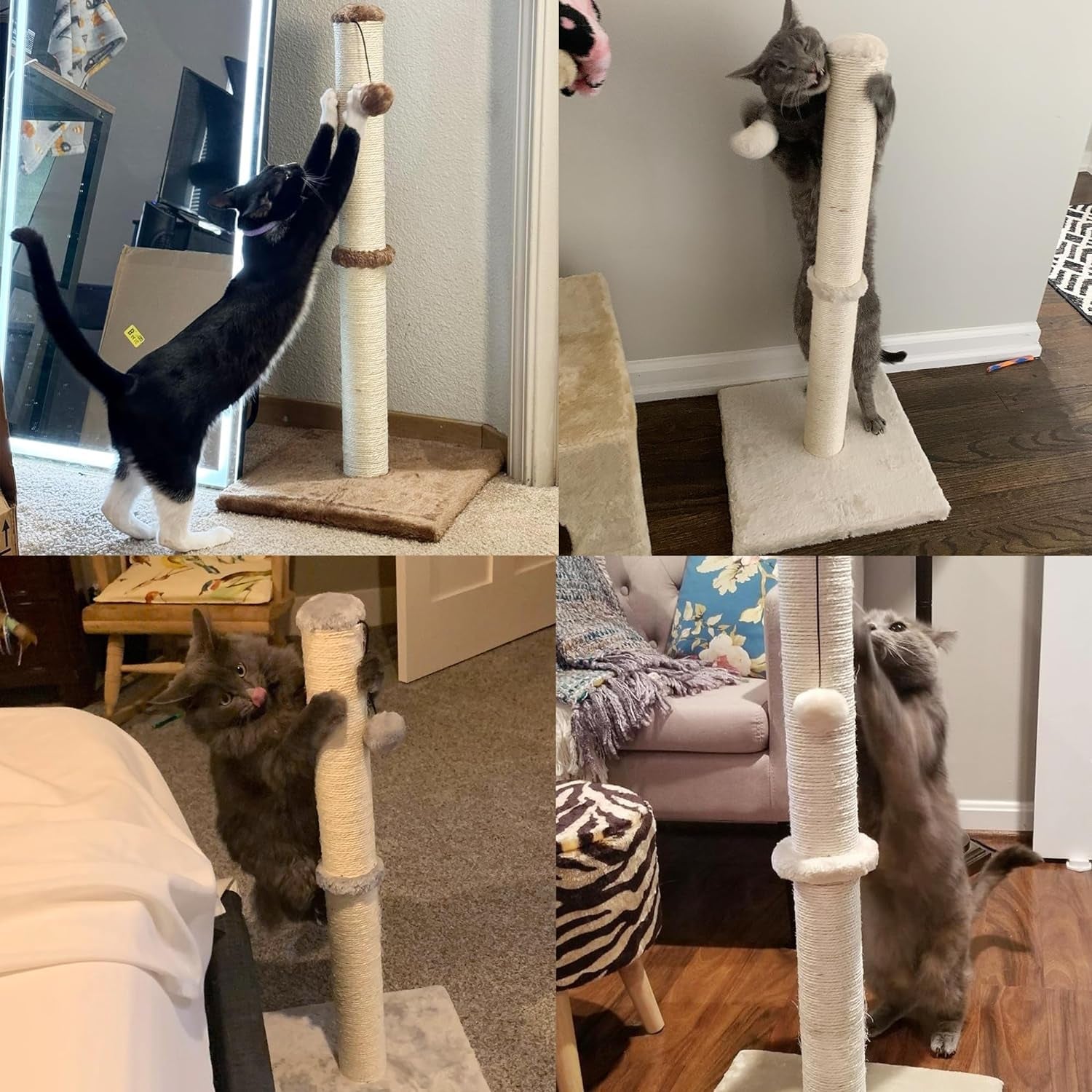 29"H Cat Scratching Post