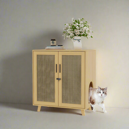 Modern Cat Litter Box Enclosure with Lock and Sisal Door