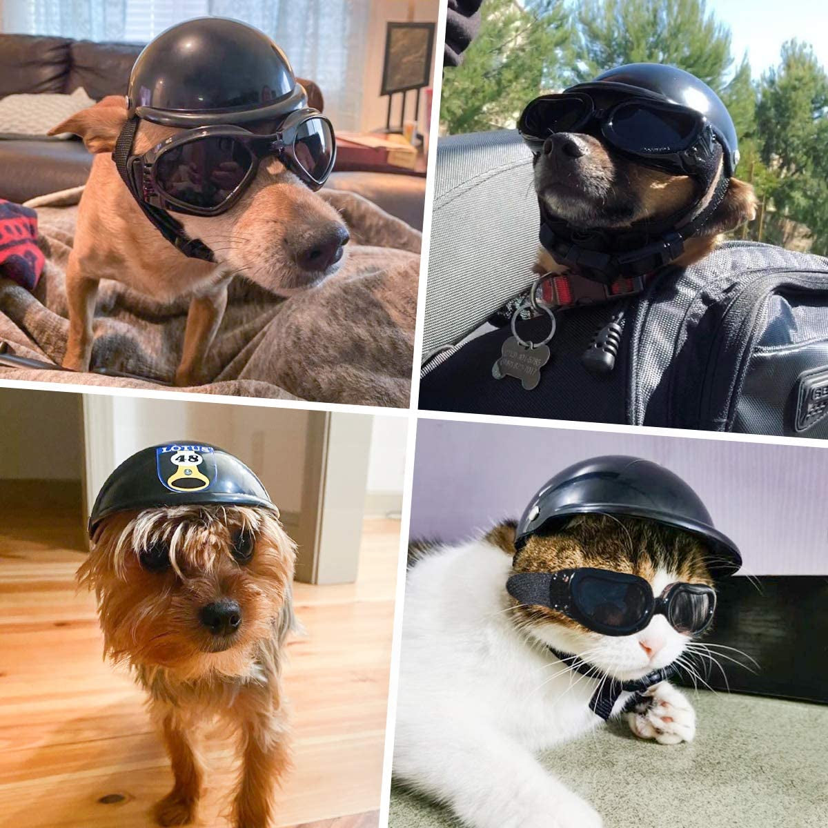 Pet Helmet, Hard Hat for Small Dogs, Motorcycle/Bike Hat for Cat, Outdoor Riding Puppy Cap, Black, Small