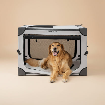 Dog inside a portable pet pen on a beige background