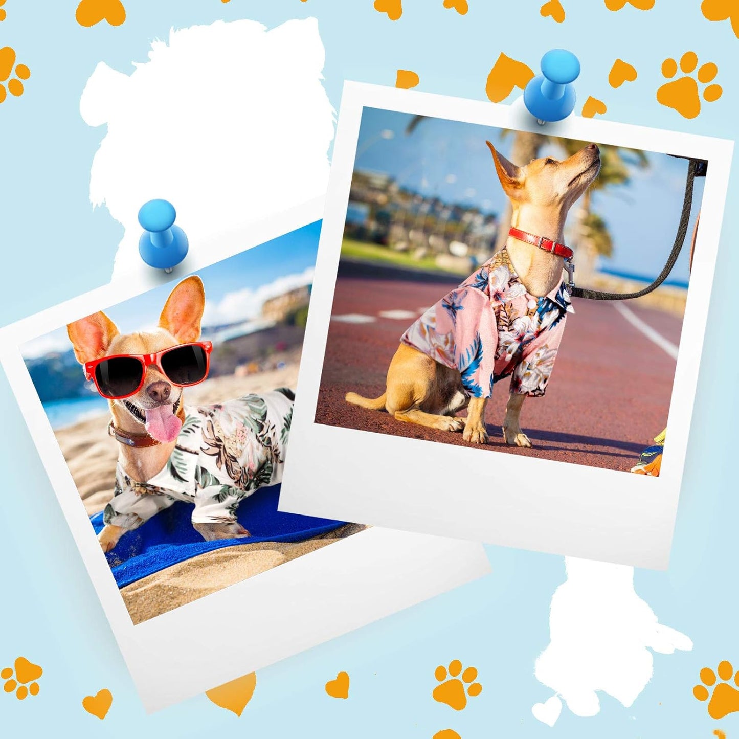 4 Pieces Pet Summer T-Shirts Hawaii Style Floral Pet Dog Shirt Breathable Cool Clothes Beach Seaside Puppy Sweatshirt for Small Puppy(Floral Style,Medium)