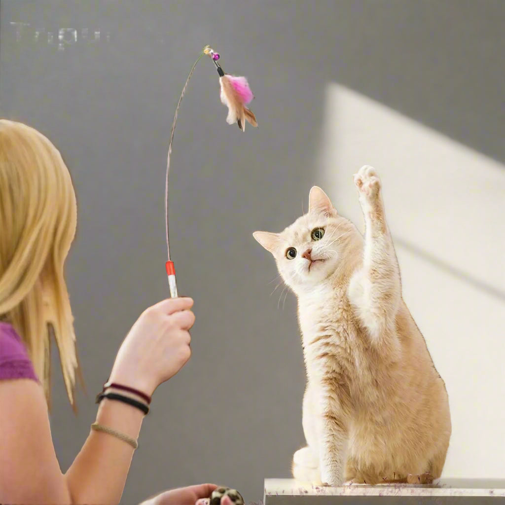 21PCS Cat Toys Kitten Toy Set Folding Camouflage Cat Tunnel Indoor Interactive Pet Toys Teaser Cat Feather Toy Colourful Mouse Plush Ball Bell Ball Toy Kit Kitten Puppy