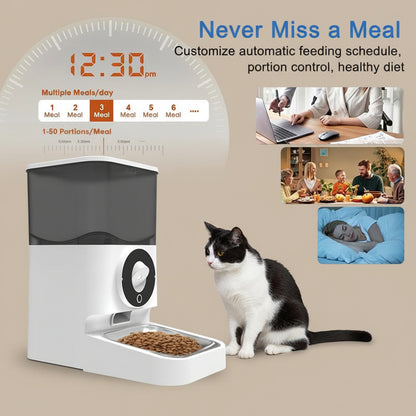 Pet food dispenser with digital clock and meal timer, cat sitting next to it, family at dinner table, and person working on laptop.