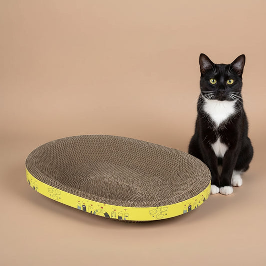 Cat sitting next to a round cat scratcher with a yellow border on a teal background